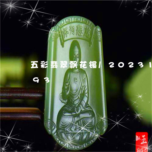 五彩翡翠飘花镯/2023101722793