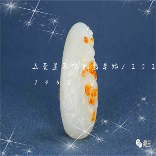 五菱星辰改色翡翠绿/2023102462482