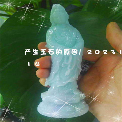 产生玉石的原因/2023121631614