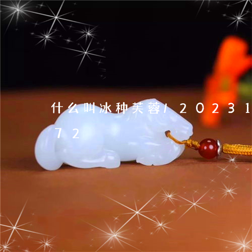 什么叫冰种芙蓉/2023121659472