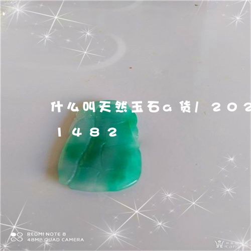 什么叫天然玉石a货/2023110171482