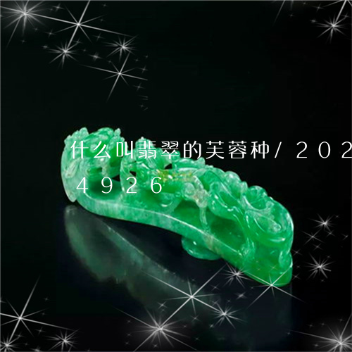 什么叫翡翠的芙蓉种/2023110164926