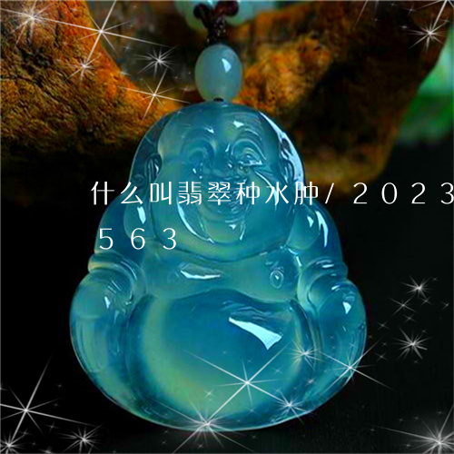 什么叫翡翠种水肿/2023042586563