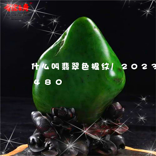 什么叫翡翠色根纹/2023042590480