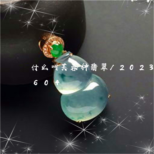 什么叫芙蓉种翡翠/2023042574604