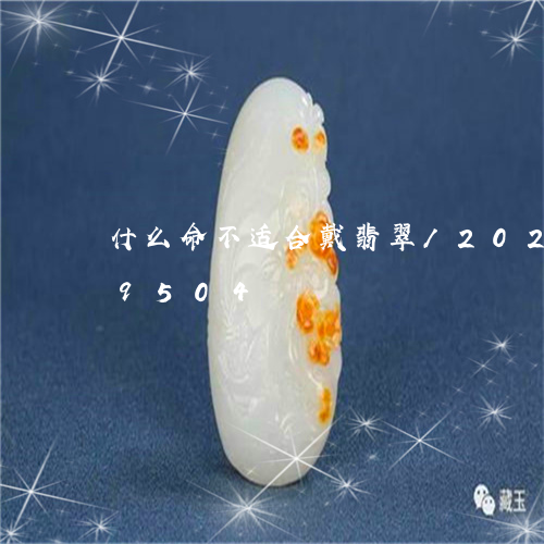 什么命不适合戴翡翠/2023110169504