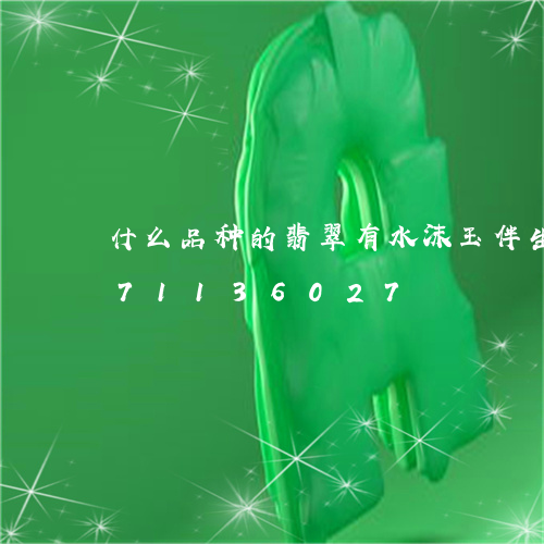 什么品种的翡翠有水沫玉伴生/2023071136027