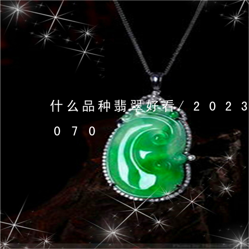 什么品种翡翠好看/2023042585070