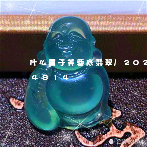 什么属于芙蓉底翡翠/2023110164814