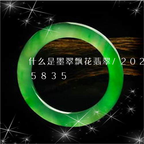 什么是墨翠飘花翡翠/2023102635835