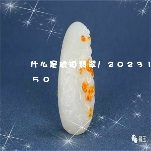 什么是琥珀翡翠/2023101667450