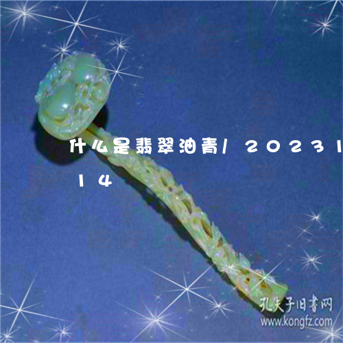 什么是翡翠油青/2023101671614