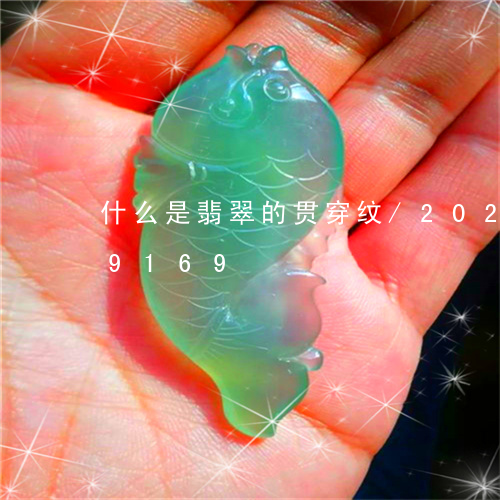 什么是翡翠的贯穿纹/2023103159169