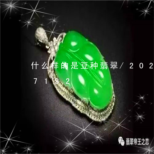 什么样的是豆种翡翠/2023103147192