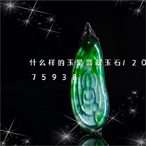 什么样的玉是翡翠玉石/2023112375938