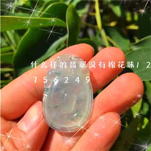 什么样的翡翠没有棉花味/2023111756249