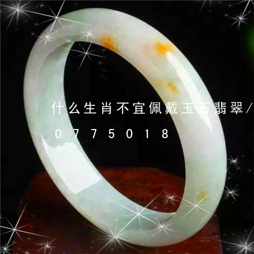 什么生肖不宜佩戴玉石翡翠/2023110775018