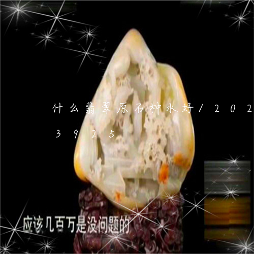 什么翡翠原石种水好/2023103173925