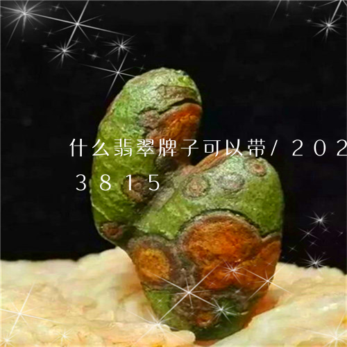 什么翡翠牌子可以带/2023103143815