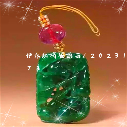 伊春红玛瑙原石/2023101716273