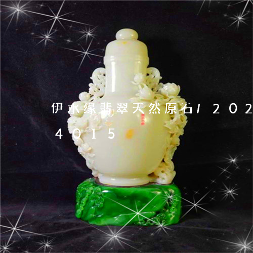 伊水缘翡翠天然原石/2023102524015