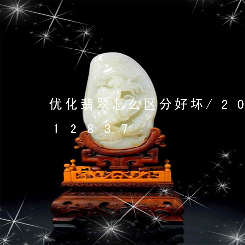 优化翡翠怎么区分好坏/2023112312837