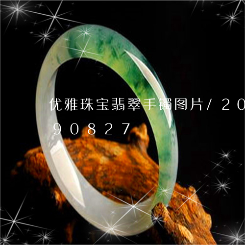 优雅珠宝翡翠手镯图片/2023092890827