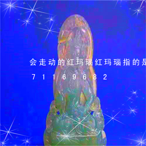 会走动的红玛瑙红玛瑙指的是/2023071169682