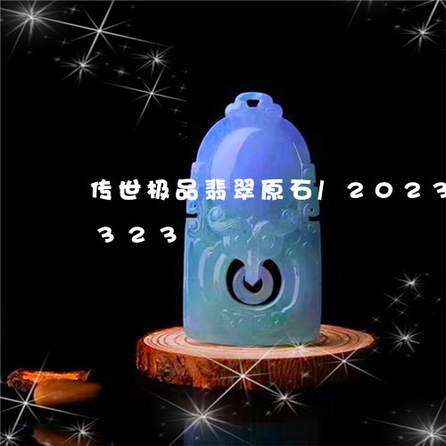 传世极品翡翠原石/2023042597323