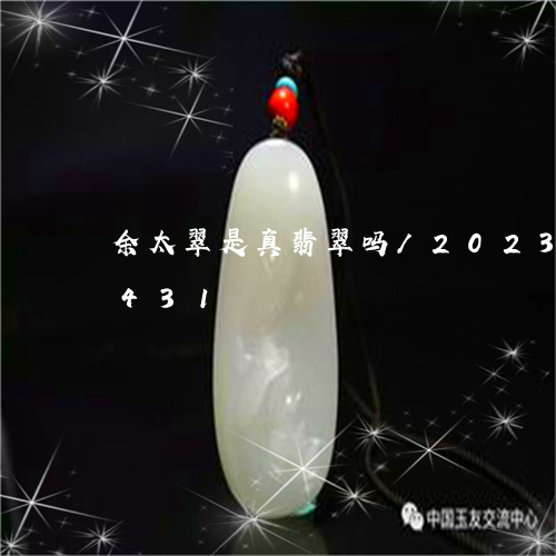 余太翠是真翡翠吗/2023042515431