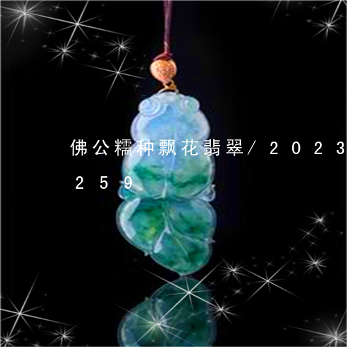 佛公糯种飘花翡翠/2023102424259