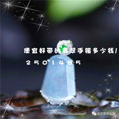 便宜好带的翡翠手镯多少钱/2023112501485