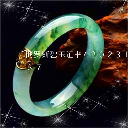 俄罗斯碧玉证书/2023121622737