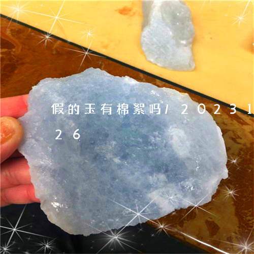 假的玉有棉絮吗/2023121523926