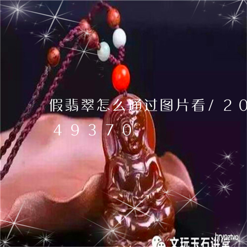 假翡翠怎么通过图片看/2023120649370