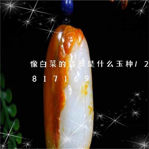 像白菜的翡翠是什么玉种/2023071817169