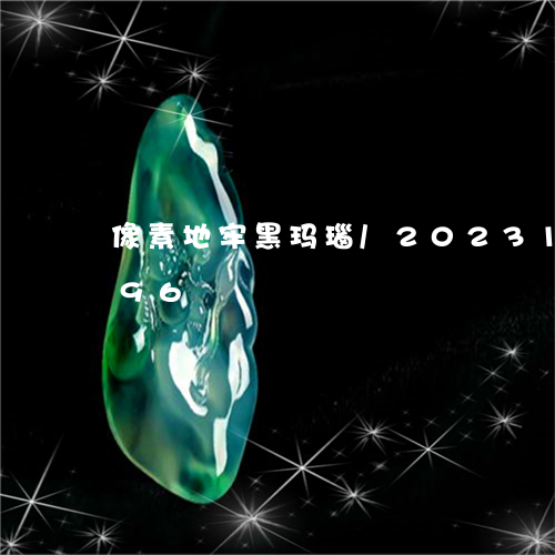 像素地牢黑玛瑙/2023121516596