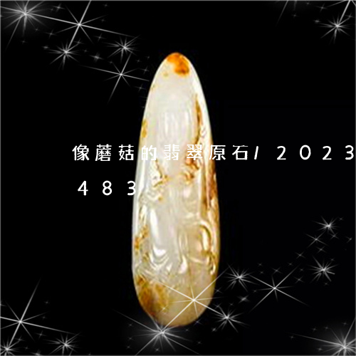 像蘑菇的翡翠原石/2023042691483