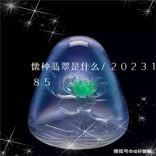 儒种翡翠是什么/2023121572485