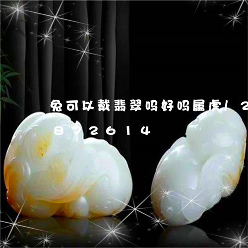 兔可以戴翡翠吗好吗属虎/2023071872614