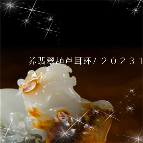 养翡翠葫芦耳环/2023121593825