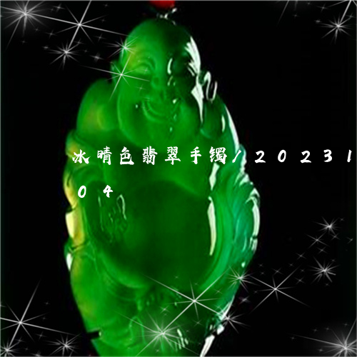 冰晴色翡翠手镯/2023121550504