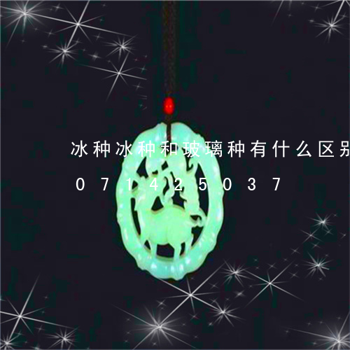 冰种冰种和玻璃种有什么区别玉/2023071425037