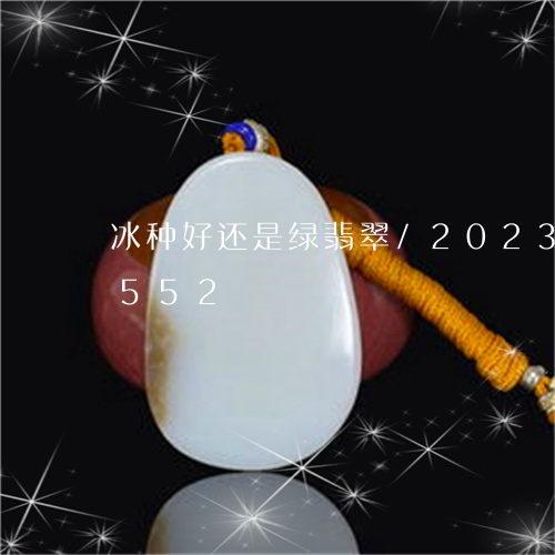 冰种好还是绿翡翠/2023042589552