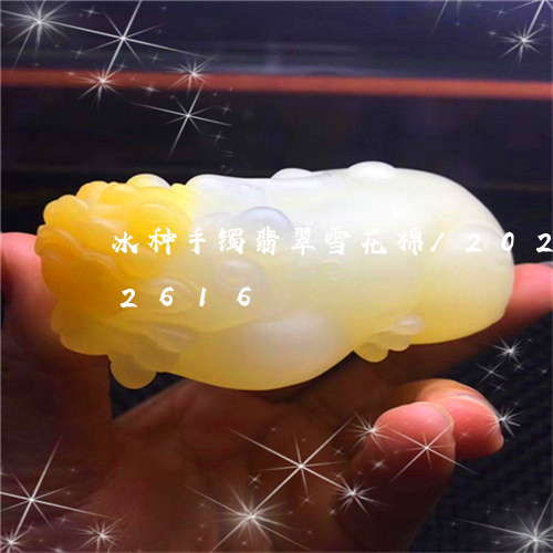 冰种手镯翡翠雪花棉/2023102502616