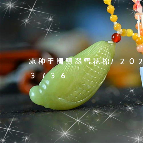 冰种手镯翡翠雪花棉/2023102583736