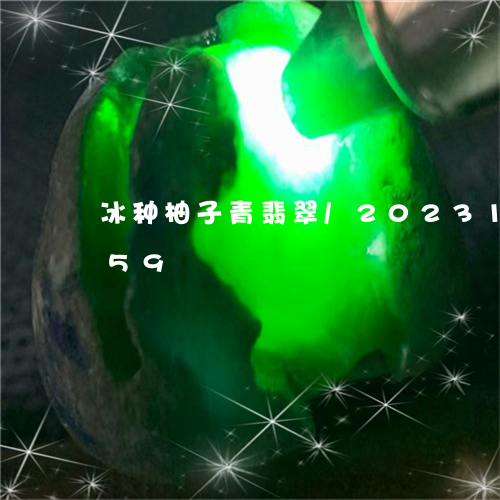 冰种柚子青翡翠/2023101616359