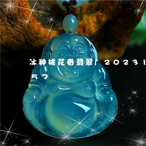 冰种桃花春翡翠/2023101694957