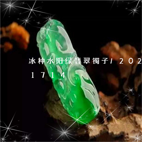 冰种水阳绿翡翠镯子/2023102571714