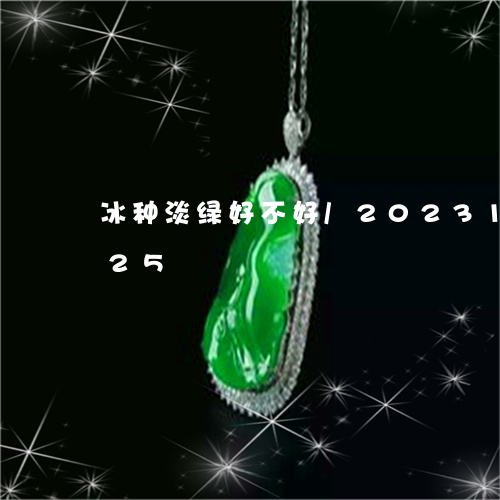 冰种淡绿好不好/2023101694925